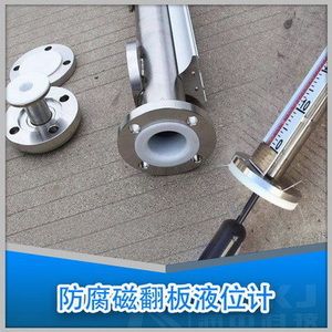 防腐磁翻板液位計